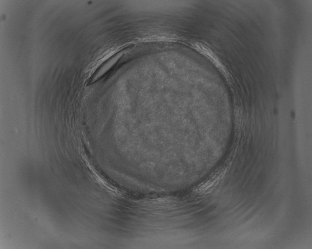 X0000067890433200605041556