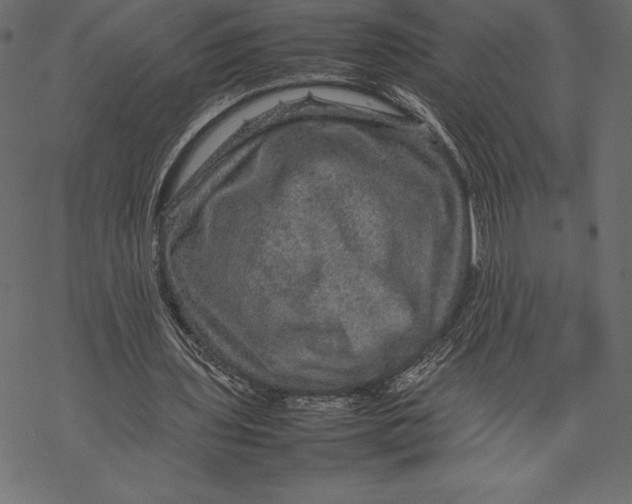 X0000067890435200605041556