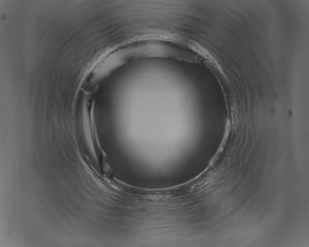 X0000067890436200605041556