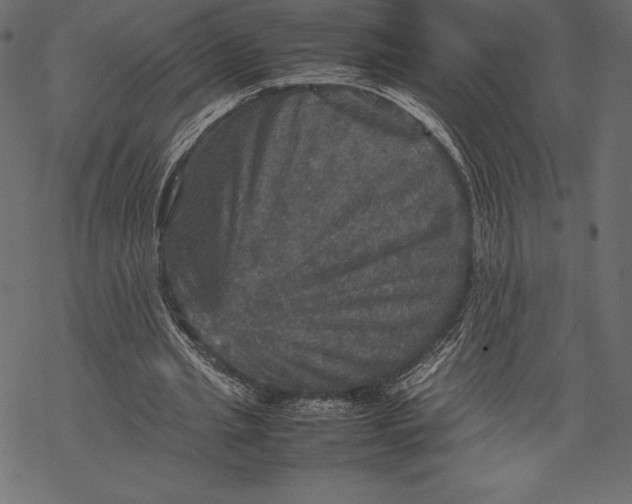 X0000067890437200605041556