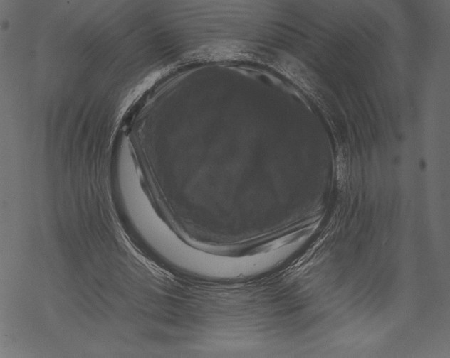 X0000067890438200605041556