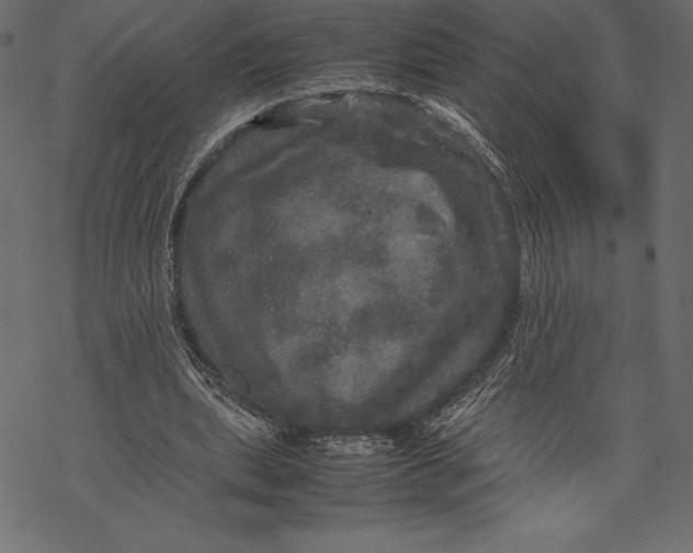 X0000067890439200605041556