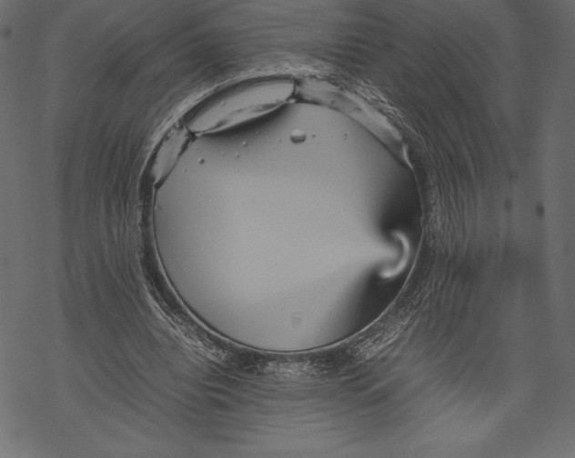 X0000067890440200605041556