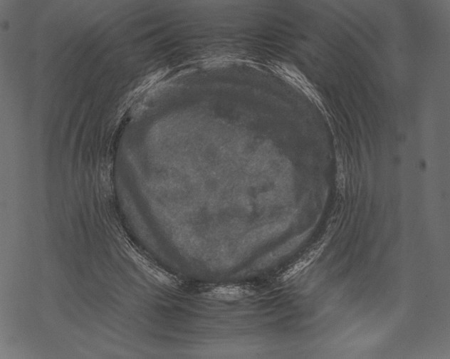 X0000067890441200605041556