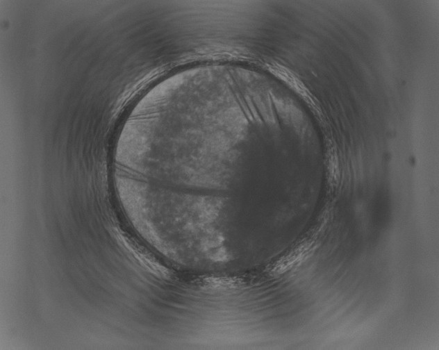 X0000067890442200605041556