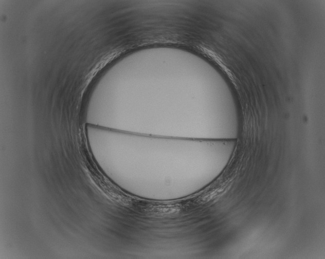 X0000067890443200605041556