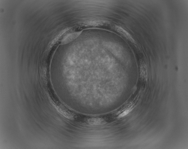 X0000067890444200605041556