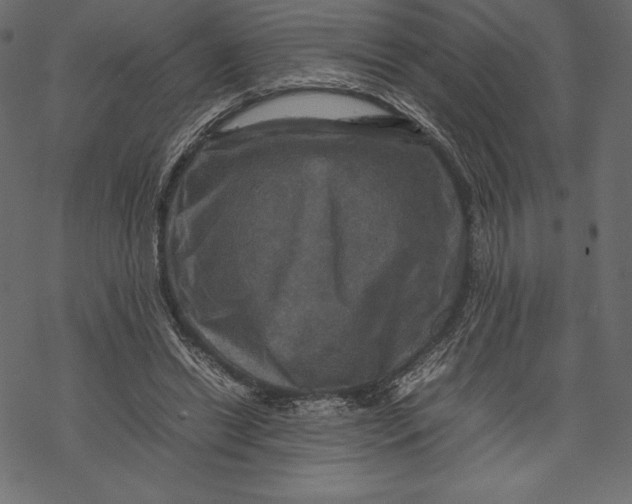 X0000067890446200605041556