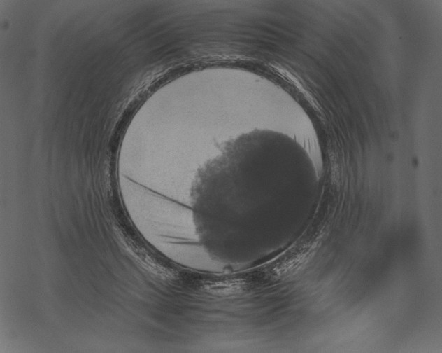 X0000067890447200605041556