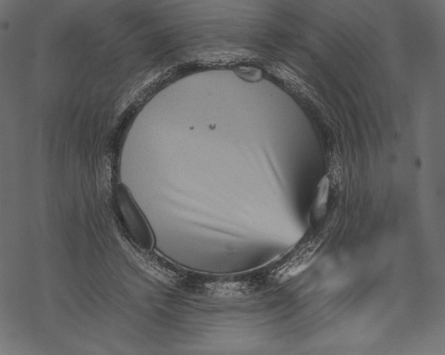 X0000067890448200605041556