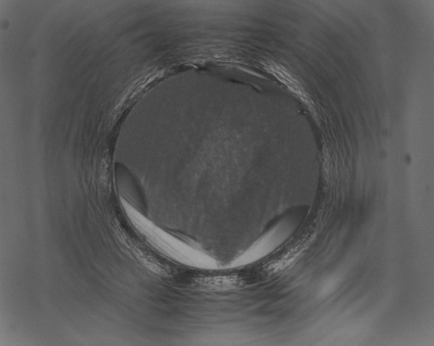 X0000067890449200605041556