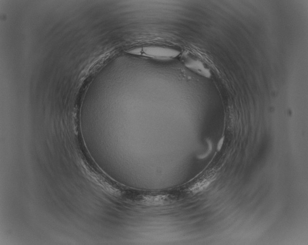 X0000067890450200605041556