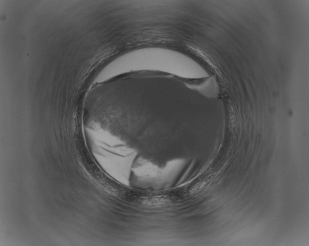 X0000067890451200605041556