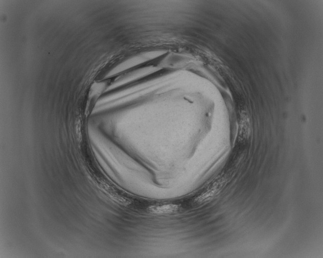 X0000067890452200605041556