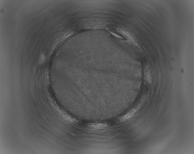 X0000067890453200605041556