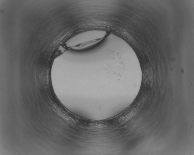 X0000067890454200605041556