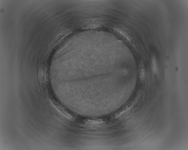 X0000067890455200605041556