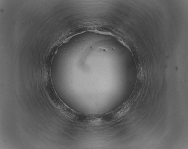 X0000067890456200605041557