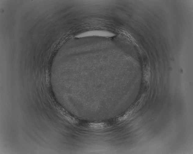 X0000067890457200605041557