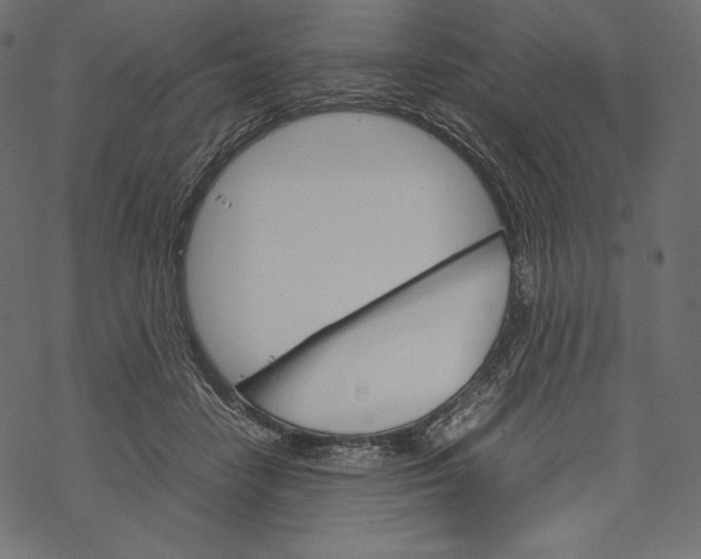 X0000067890458200605041557