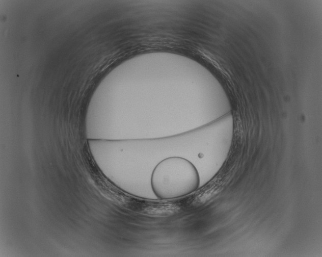 X0000067890459200605041557