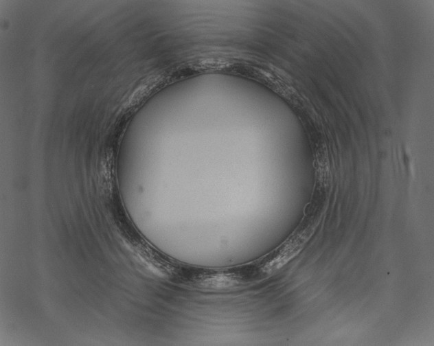 X0000067890460200605041557