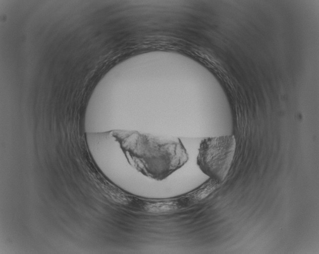 X0000067890461200605041557