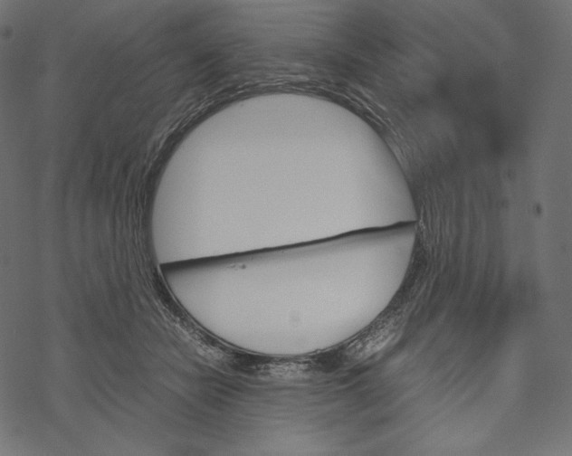 X0000067890462200605041557