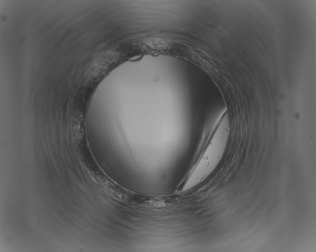 X0000067890464200605041557