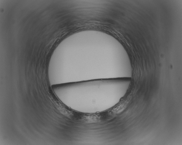 X0000067890466200605041557