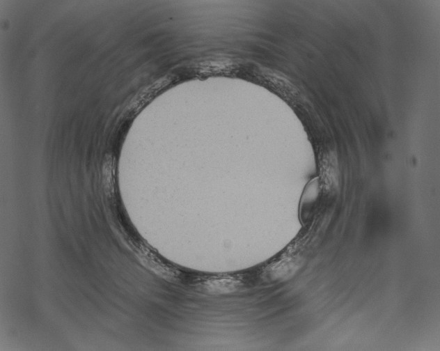 X0000067890468200605041557