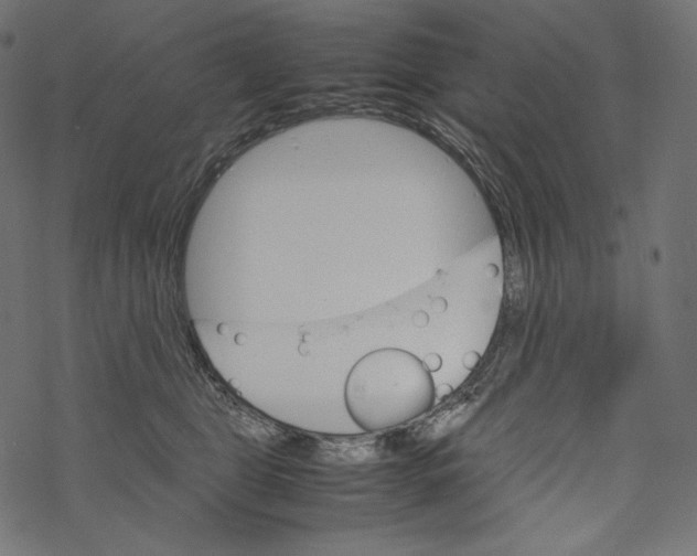 X0000067890469200605041557