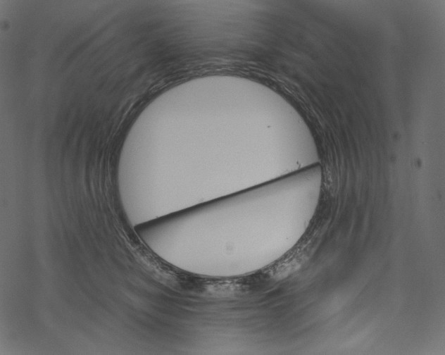 X0000067890470200605041557