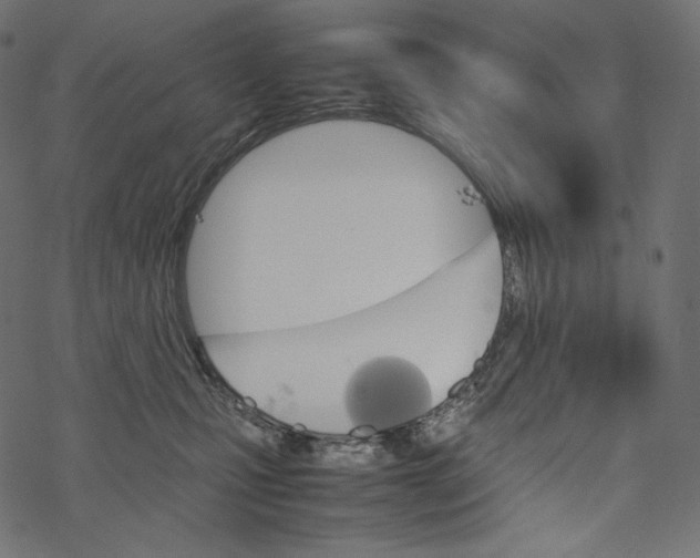 X0000067890471200605041557