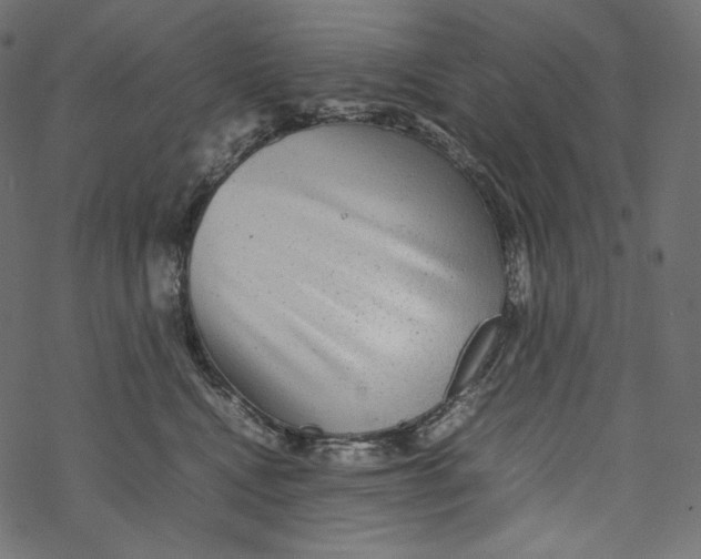 X0000067890472200605041557