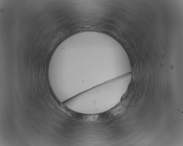 X0000067890474200605041557