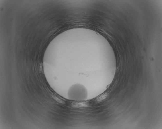 X0000067890475200605041557