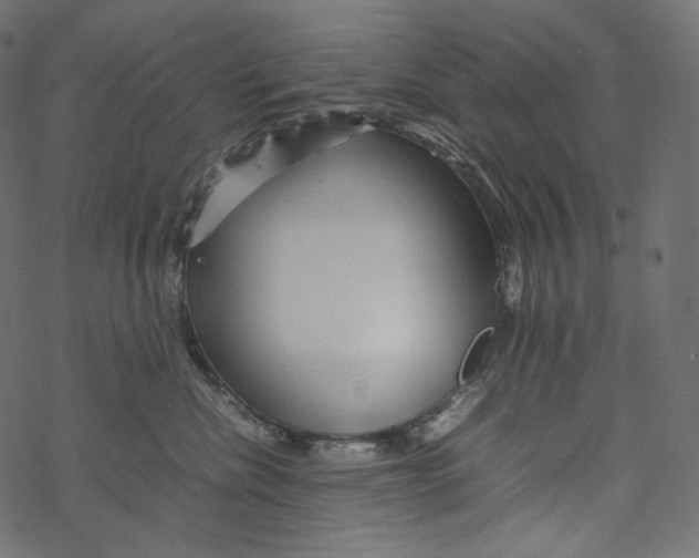 X0000067890476200605041557