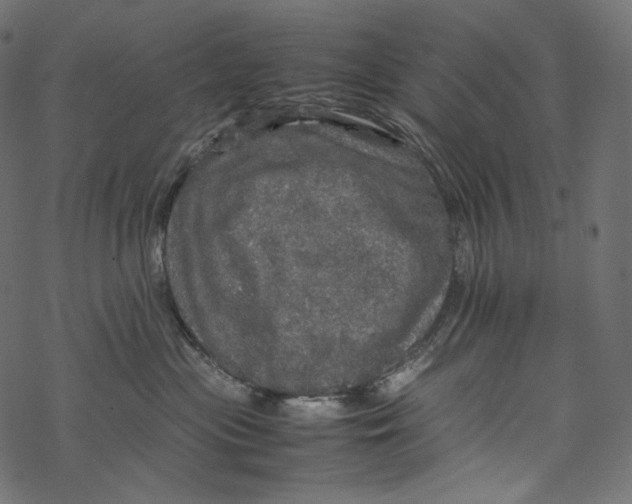 X0000067890477200605041557