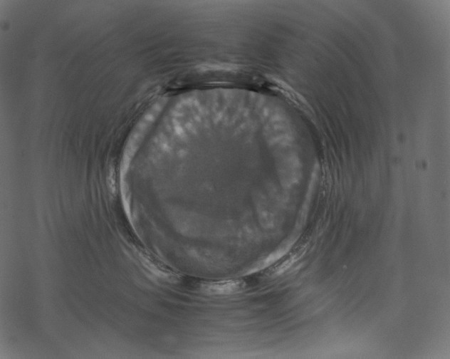 X0000067890479200605041557