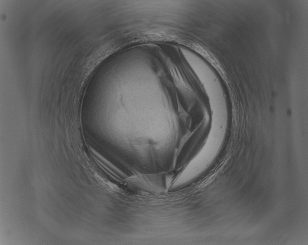 X0000067890481200605041556