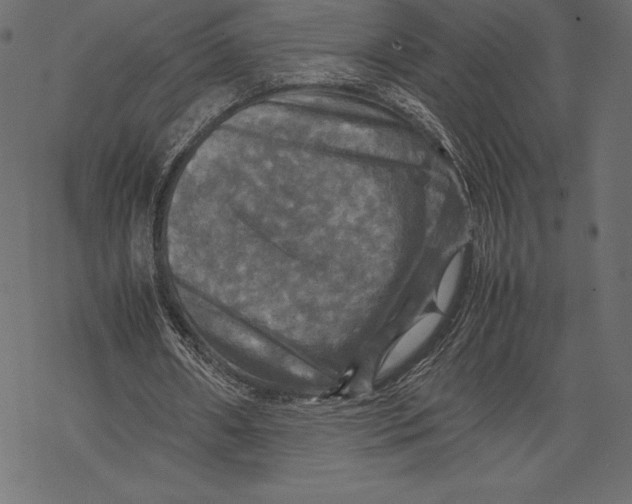 X0000067890482200605041556