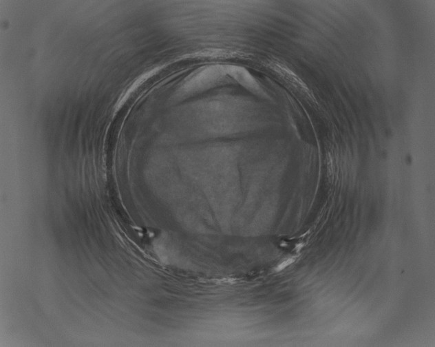 X0000067890484200605041556