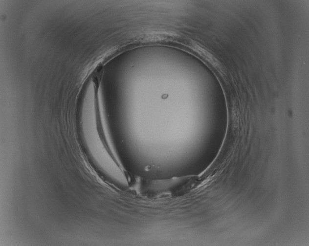 X0000067890485200605041556