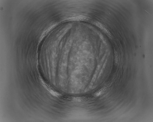 X0000067890486200605041556