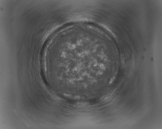 X0000067890487200605041556