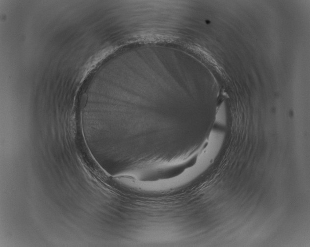 X0000067890488200605041556