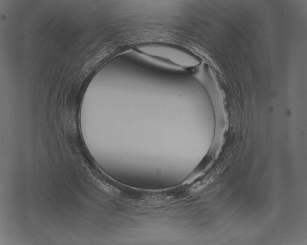 X0000067890489200605041556