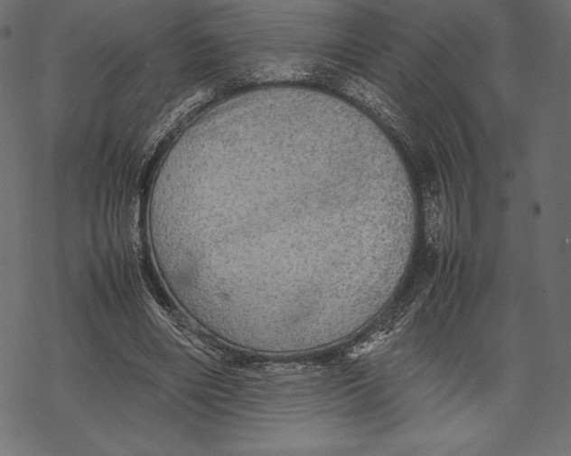 X0000067890490200605041556