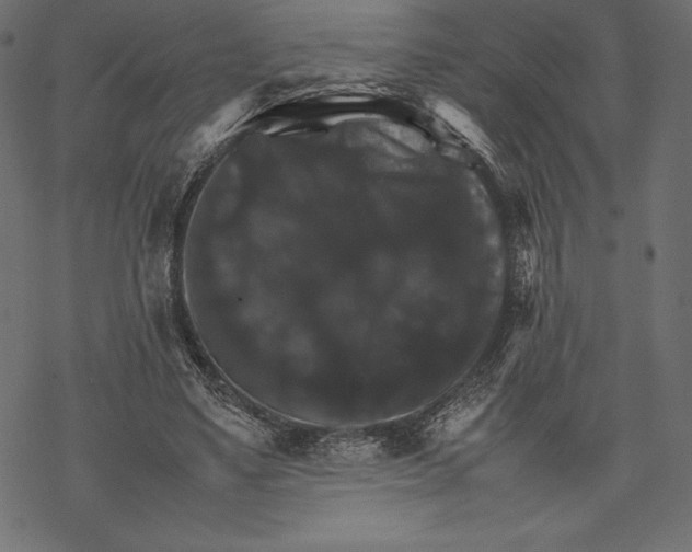 X0000067890491200605041556